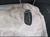 Miniaturka zdjęcia 11