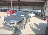 Miniaturka zdjęcia 2