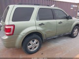 Ford Escape Xlt 1FMCU03Z88KC64929 снимка