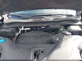 Honda Pilot 2Wd Special Edition 5FNYF5H27NB010733 fotografie