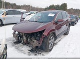 Miniaturka zdjęcia 2