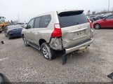 Miniaturka zdjęcia 3