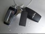 Miniaturka zdjęcia 11