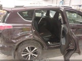 Toyota Rav4 Xle 2T3RFREV4HW600896 снимка