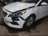 Miniaturka zdjęcia 6