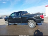 Ford F-150 Xlt 1FTFW1ET1CFB43056 снимка
