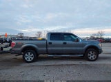 Ford F-150 Fx4/King Ranch/Lariat/Platinum/Xl/Xlt 1FTPW14V89FB34399 снимка