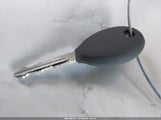 Miniaturka zdjęcia 11