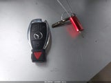 Miniaturka zdjęcia 11