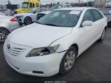 Toyota Camry Le V6 JTNBK46K893046041 photo