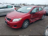 Toyota Corolla Le 2T1BU4EE6AC267756 снимка