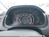 Miniaturka zdjęcia 7