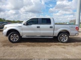 Ford F-150 Xlt 1FTFW1EF5EFB68720 снимка