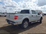 Ford F-150 Xlt 1FTFW1EF5EFB68720 снимка