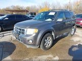 Ford Escape Limited 1FMCU0EG5AKC65084 снимка