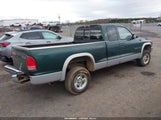 Miniaturka zdjęcia 4