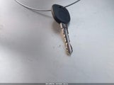 Miniaturka zdjęcia 11