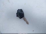 Miniaturka zdjęcia 11