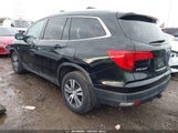 Miniaturka zdjęcia 3