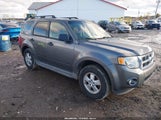 Ford Escape Xlt 1FMCU93G99KC68105 снимка