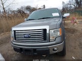Ford F-150 Fx4/Lariat/Xl/Xlt 1FTFX1EVXAFA95262 photo