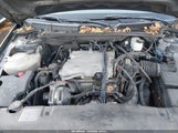 Miniaturka zdjęcia 10