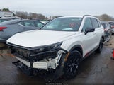 Miniaturka zdjęcia 2