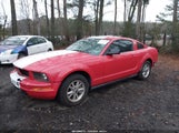 Ford Mustang V6 1ZVFT80N965191583 снимка