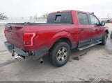 Ford F-150 Xlt 1FTEW1CP5FKE19252 снимка