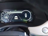 Hyundai Palisade Calligraphy KM8R74HE3NU446777 снимка