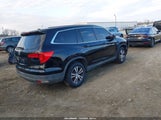 Honda Pilot Ex 5FNYF5H31GB004969 fotografie