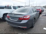 Miniaturka zdjęcia 4