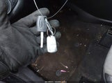 Miniaturka zdjęcia 11