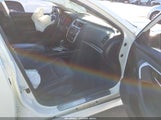 Miniaturka zdjęcia 5