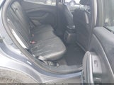 Miniaturka zdjęcia 8