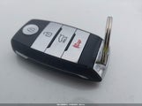 Miniaturka zdjęcia 11