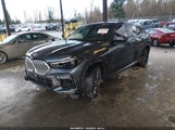 BMW X6 xDrive40I 5UXCY6C0XM9F61913 fotografie