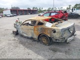 Miniaturka zdjęcia 3