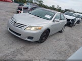 Miniaturka zdjęcia 2