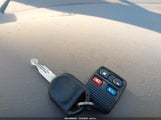 Miniaturka zdjęcia 11