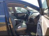 Miniaturka zdjęcia 5