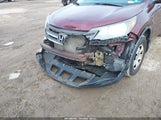 Miniaturka zdjęcia 6