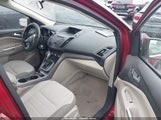 Ford Escape Se 1FMCU0GX5EUA11768 снимка