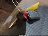Miniaturka zdjęcia 11