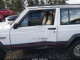 Miniaturka zdjęcia 6