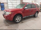 Ford Escape Xlt 1FMCU0D78AKC07343 снимка