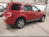 Ford Escape Xlt 1FMCU0D78AKC07343 fotografie