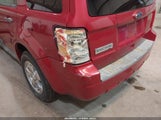 Ford Escape Xlt 1FMCU0D78AKC07343 fotografie