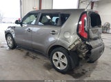 Miniaturka zdjęcia 3