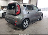 Miniaturka zdjęcia 4